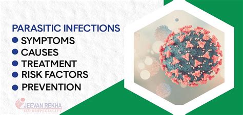Parasitic Infections Symptoms Causes Risk Factors Prevention And