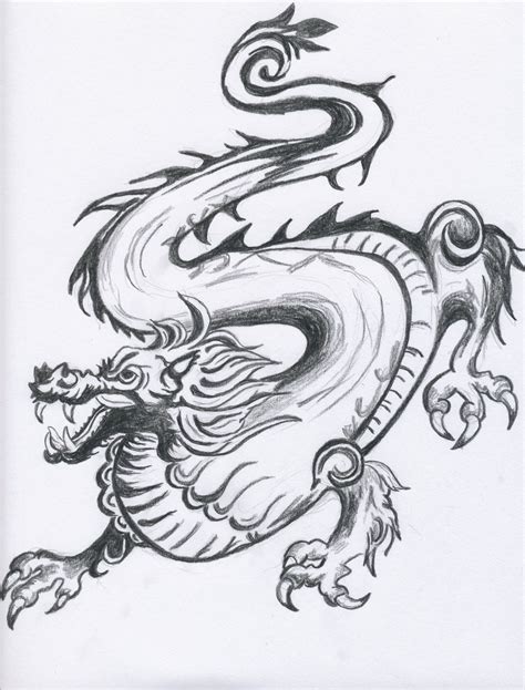 chinesischer drache drache zeichnungen von andreakemp bei kunstnet