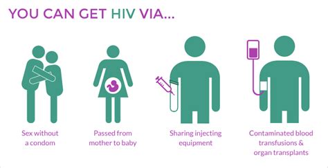 hiv transmission and prevention avert