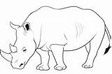 Rhino Coloring Drawing Pages Rhinoceros Animal Animals Wild Cartoon Kids Printable Colouring Drawings Color Draw Line Rhinos Print Sketch Forest sketch template
