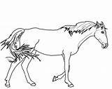Horse Coloring Walking Thoroughbred Color Pages Drawing Horses Printable Sheet Kids Realistic Tennessee Sketch Cute sketch template