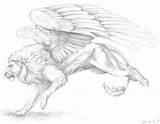Wings Winged Lions Mythical Sketches Creature Mythological Fc06 Imgarcade sketch template