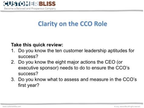 Clarifying The Leadership Function Of The Chief Customer Officer