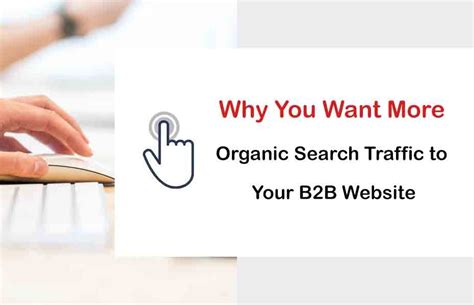 organic search traffic   bb website