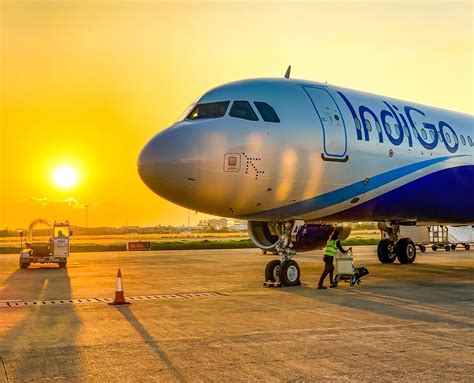 indigo gains momentum  india domestic opening interview flight global