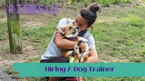 hiring  professional dog trainer