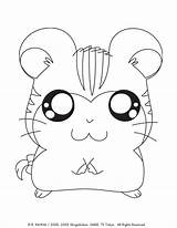 Coloring Pages Hamtaro Sandy sketch template