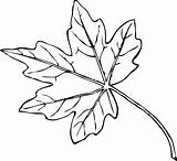 Leaf Automne Saison Nature Clker Coloriages Wikiclipart sketch template