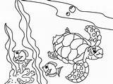 Sea Coloring Turtle Coral Around Pages Reefs Swimming Ages Turtles Older Years Kids sketch template