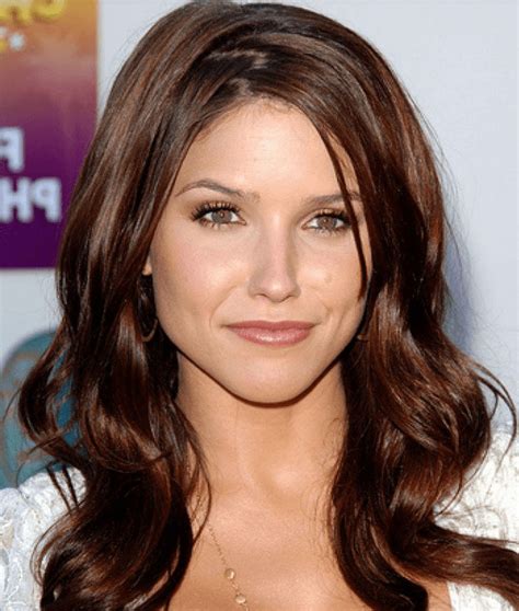 warm brown hair color ideas   hairstyle camp