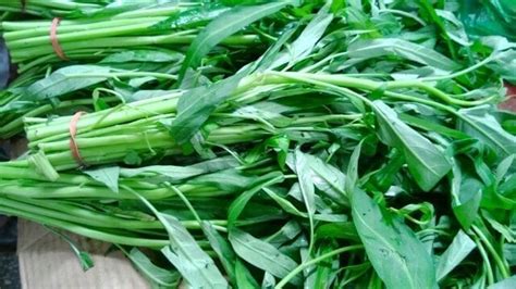 Chinese Vegetables Leafy Greens The Woks Of Life