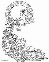 Peacock Coloring Pages Printable Kids Bird Color Book Sheets Feathers Coloringfolder sketch template