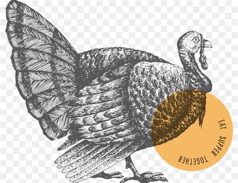 turkey drawing vector png pngrow
