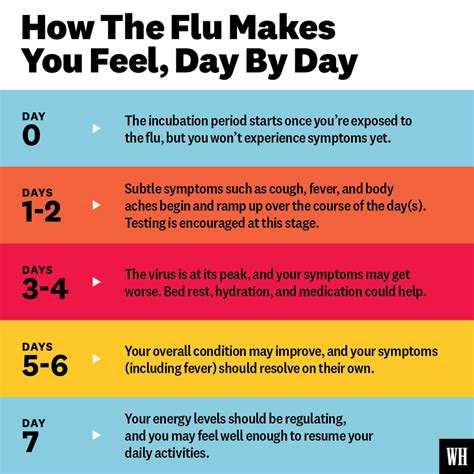 stages  flu recovery  symptoms   health experts