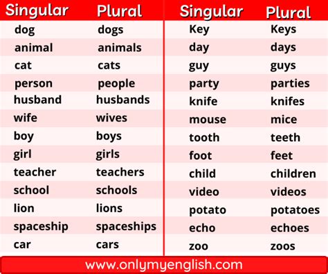 singular  plural nouns words onlymyenglish