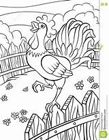 Rooster Coloring Pages Birds Cute Fence Cries Preview sketch template
