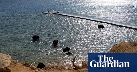 Shark Attacks In Egypt World News The Guardian