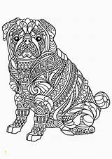 Coloring Pages Dog Year Bildern Mit Animal Pdf Divyajanani sketch template