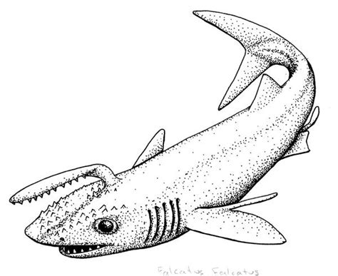 prehistoric shark  sladeside  deviantart