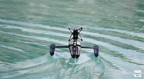 parrots  hydrofoil drone takes  water   duck