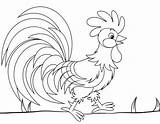 Coloring Rooster Beautiful Pages Children sketch template