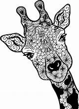 Giraffe Meilleures Tableau Cricut Bricolage Colouring Verre sketch template