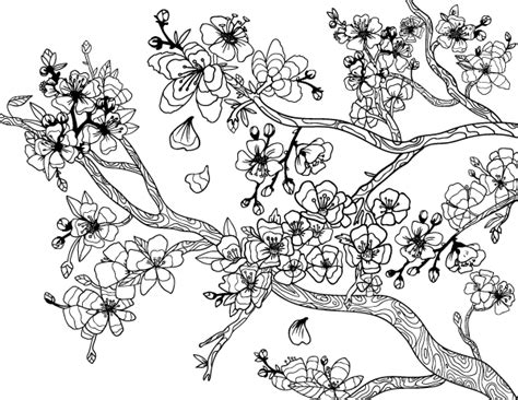 cherry blossom tree coloring pages