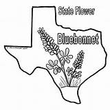Texas Coloring Bluebonnet Pages Bluebonnets Longhorn Color Sheets Flag Print Bob Book Drawings State Printable Drawing Blue Sheet Getcolorings Line sketch template