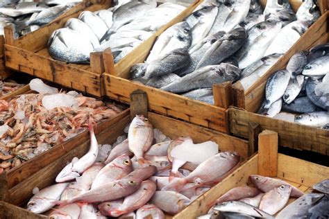 seafood import monitoring program facts  reports noaa fisheries