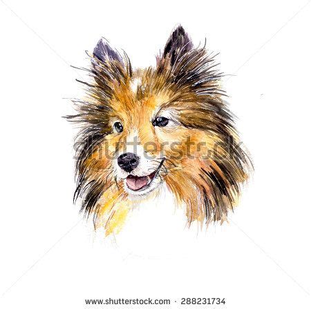 adults coloring pages dog sheltie google search adult coloring page