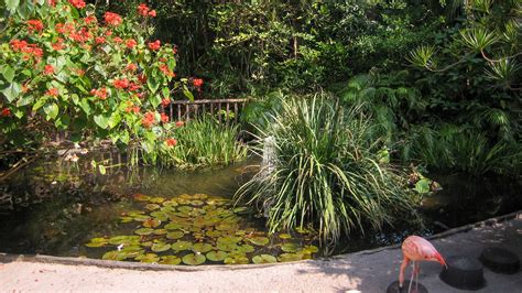 sunken gardens st petersburg florida hikes