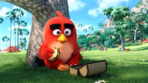 angry birds main character hd movies  wallpapers images