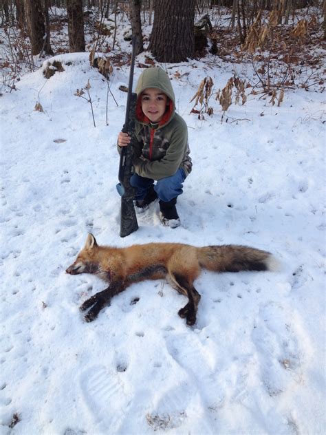 maine outdoorsman fox hunting    woods  unsafe