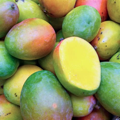 mango  ripe  easy ways home cook basics