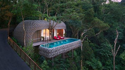 spectacular luxury treehouses    world