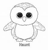 Coloring Ty Pages Print Beanie Boo sketch template