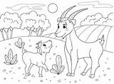 Coloring Pages Animal Families Printable Print 30seconds Family Everyone Mom Fun Tip sketch template