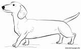 Dachshund Coloring Pages Dog Printable Draw Drawing Dachsunds Step Supercoloring Template Dogs Drawings Long Print Puppy Colouring Line Tutorials Tracing sketch template