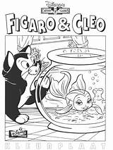 Figaro Cleo 1336 sketch template