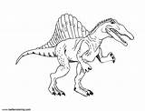 Spinosaurus Coloring Pages Printable Clipart Kids Color Adults Print sketch template