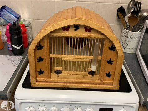 gypsy style mule cage  wolverhampton  freeads classifieds finches