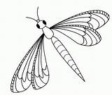 Dragonfly Coloring Pages Printable Print Colouring Popular Library Clipart Books Coloringhome sketch template