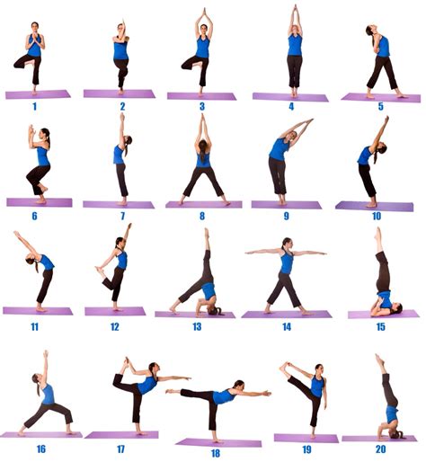 yoga poses  beginners musely