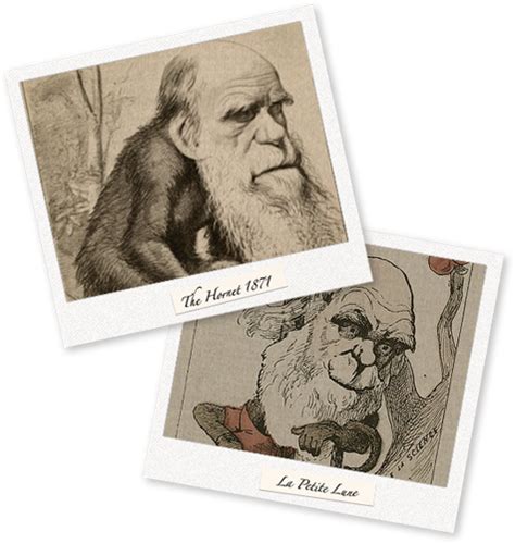 Darwin Timeline Darwin Correspondence Project