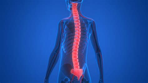 spinal cord injuries  medical malpractice chh law