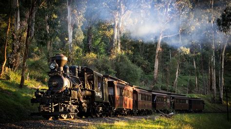 landscape train railway nature steam locomotive australia trees forest smoke grass