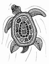 Zentangle Patterns Turtle Drawings Zentangles Print Etsy Easy Zen Tangle Doodle Doodles Animals Sea Con Turtles Objects Zendoodle Mandalas Drawing sketch template