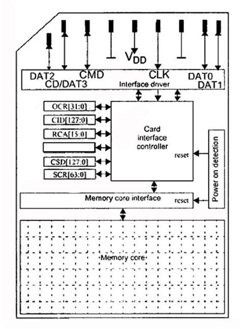 sd card architecture  scientific diagram