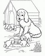 Dog Pages Coloring House Baby Mother Kids Babies Her Comments Cubs Four Dogs sketch template