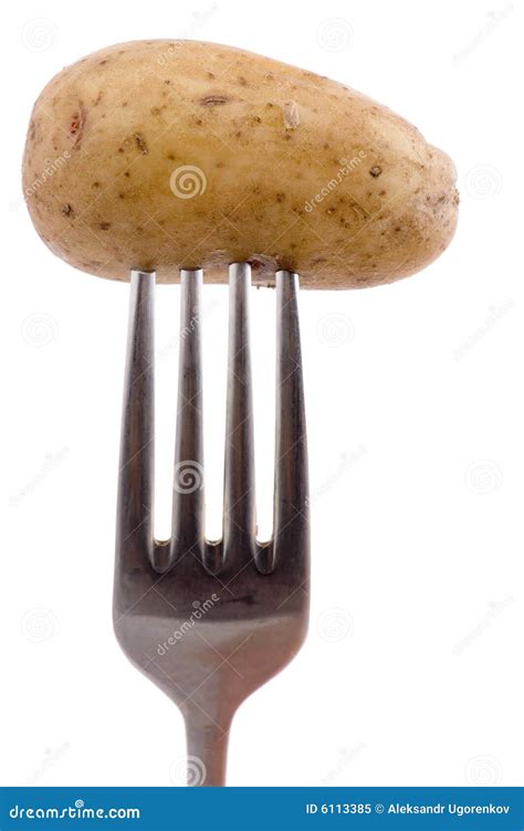aardappel op vork stock afbeelding image  schoffelt